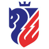 Botoșani logo