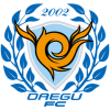 Daegu logo