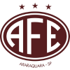 Ferroviária logo
