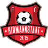 Hermannstadt logo