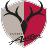 Kashima Antlers logo