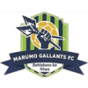 Marumo Gallants FC logo