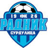Radnik Surdulica logo
