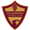 Stellenbosch FC logo