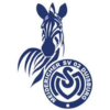 MSV Duisburg logo