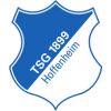 TSG 1899 Hoffenheim II logo
